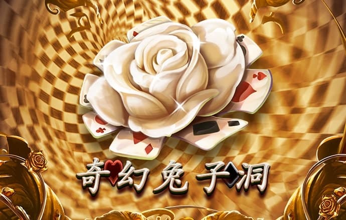 银河vp最新版本